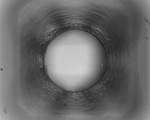 X0000102841013200808181020