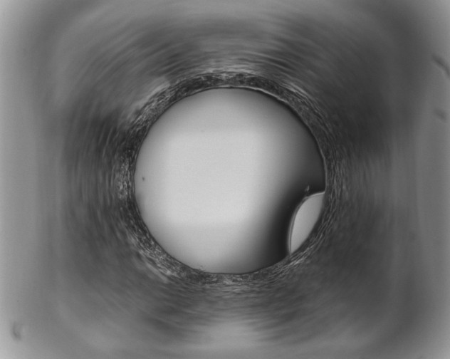 X0000102841014200808181020
