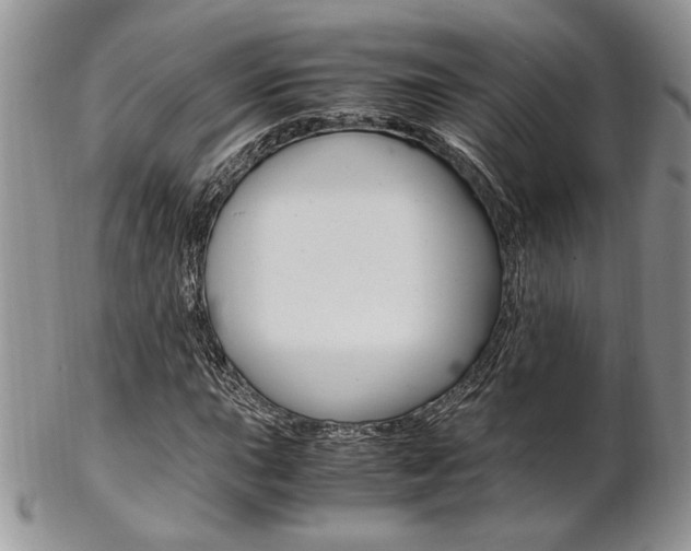 X0000102841015200808181020