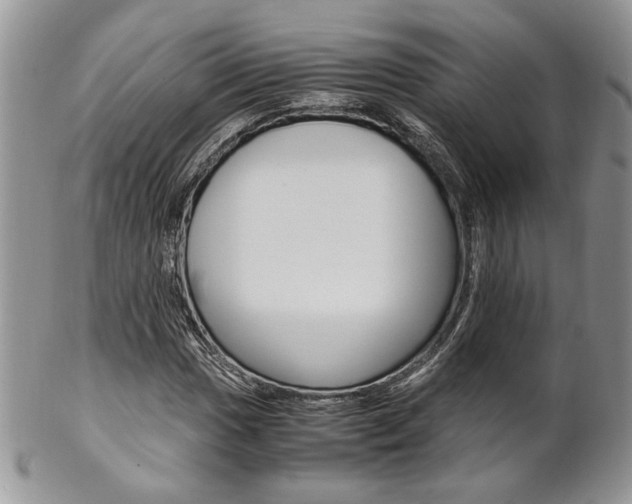 X0000102841017200808181020
