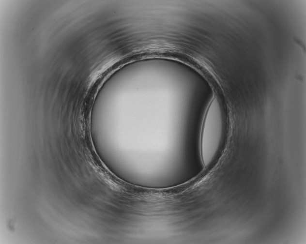 X0000102841018200808181020