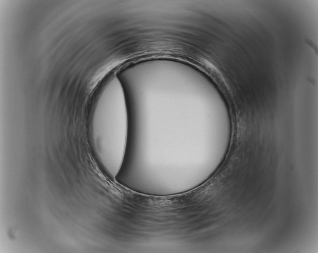 X0000102841019200808181020