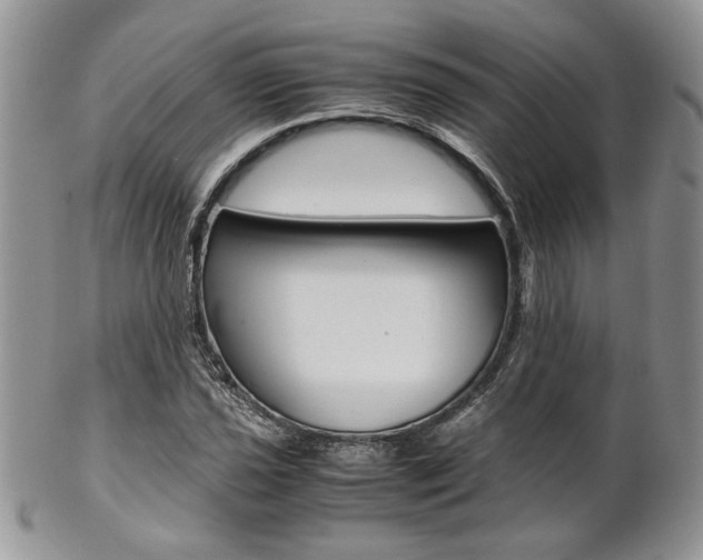 X0000102841021200808181020