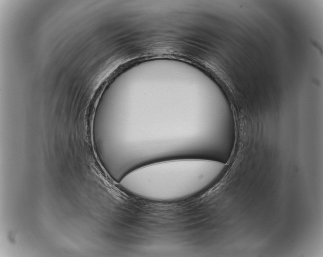 X0000102841023200808181020