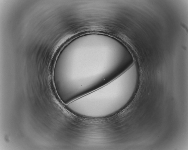 X0000102841024200808181020
