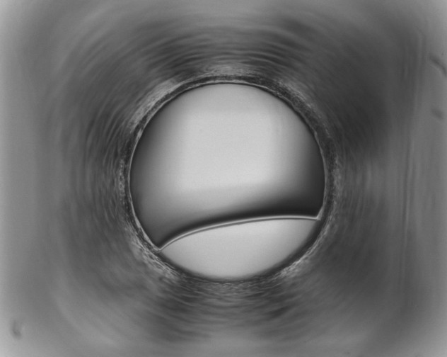 X0000102841025200808181020