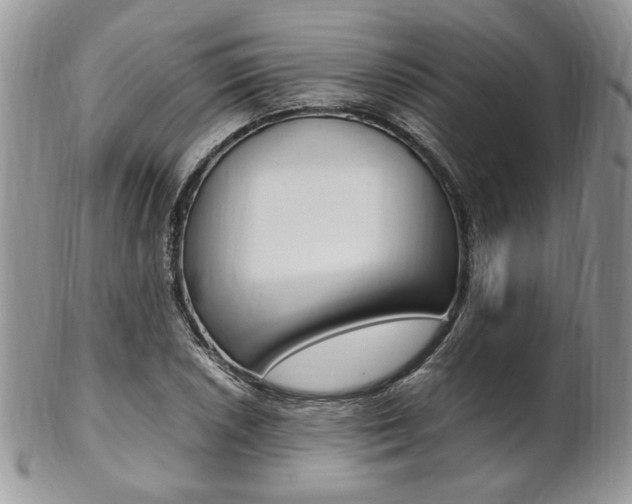 X0000102841026200808181020