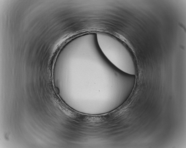 X0000102841027200808181020