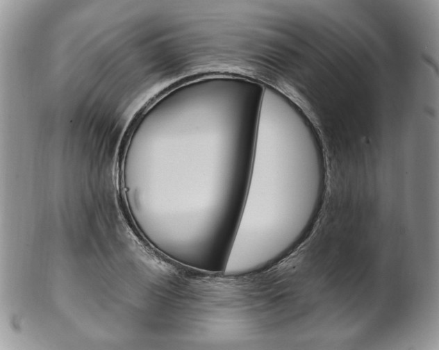 X0000102841028200808181020