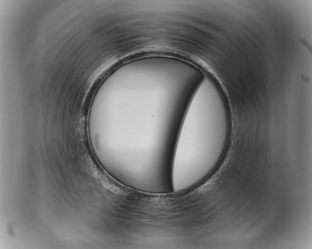 X0000102841029200808181020