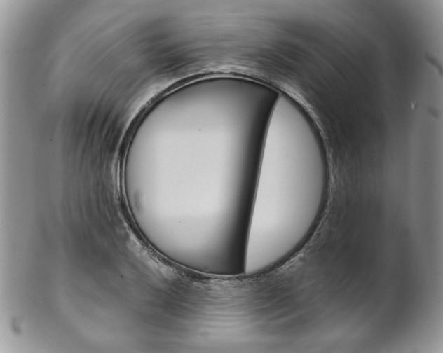 X0000102841032200808181020