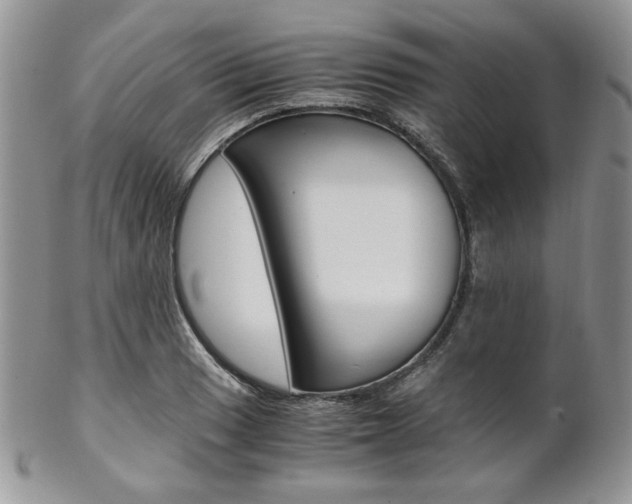 X0000102841033200808181020