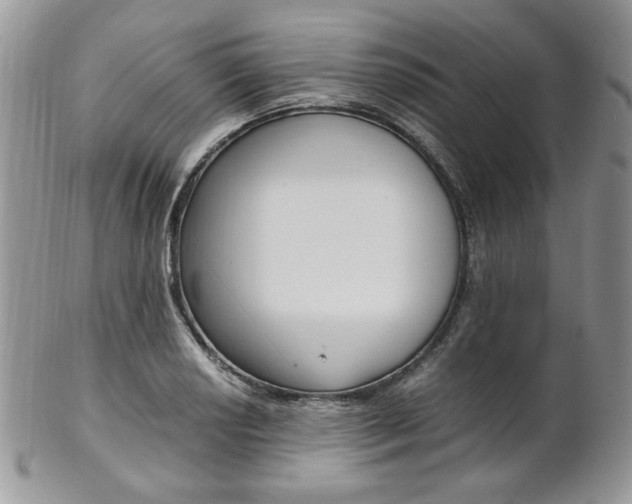 X0000102841034200808181020
