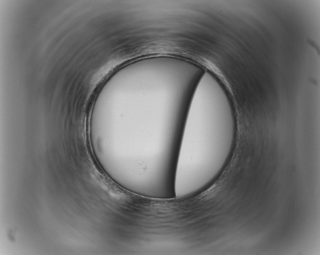 X0000102841035200808181020