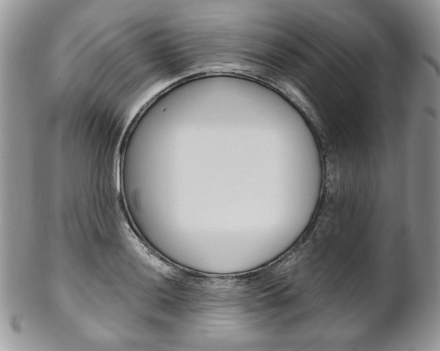 X0000102841036200808181020