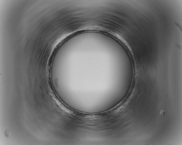 X0000102841037200808181020