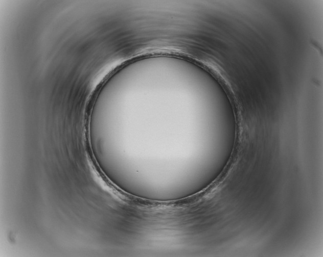 X0000102841038200808181020