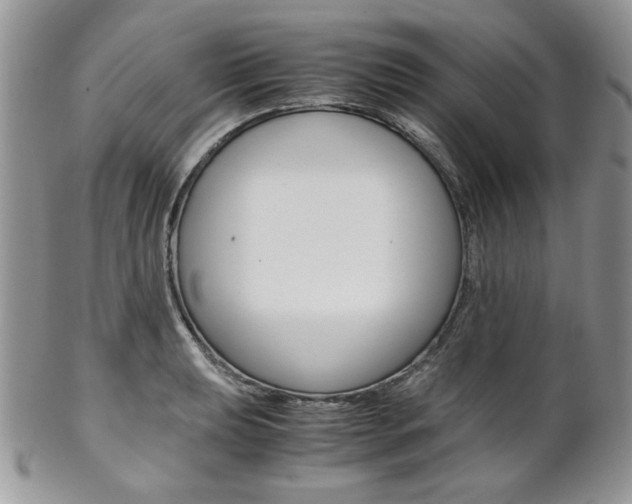 X0000102841039200808181020