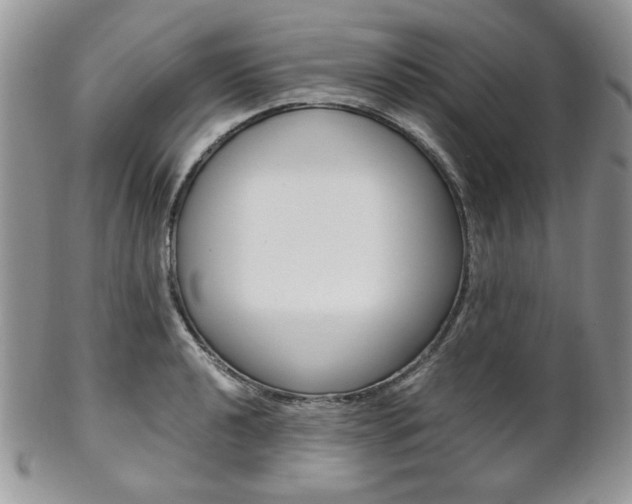 X0000102841040200808181020