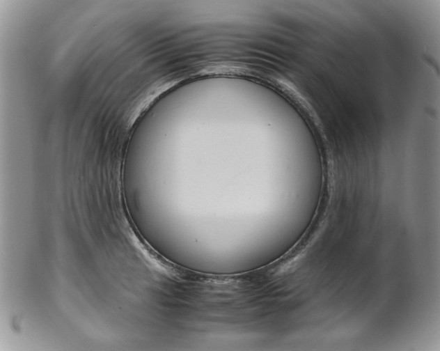 X0000102841041200808181020