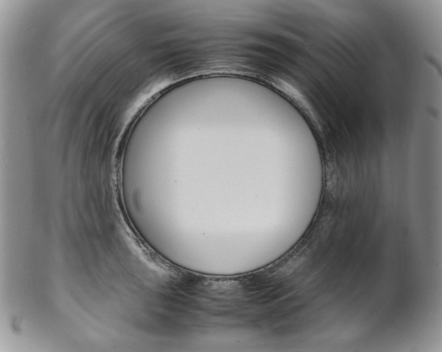 X0000102841043200808181020