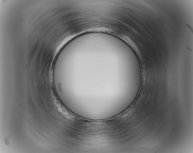 X0000102841044200808181020