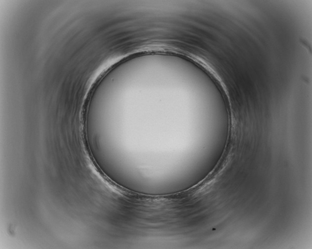 X0000102841045200808181020