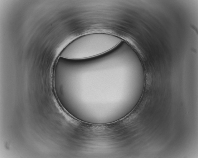 X0000102841046200808181020