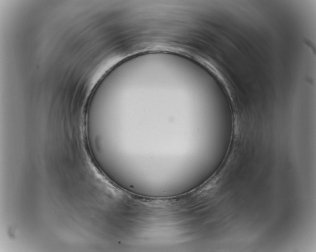 X0000102841048200808181020