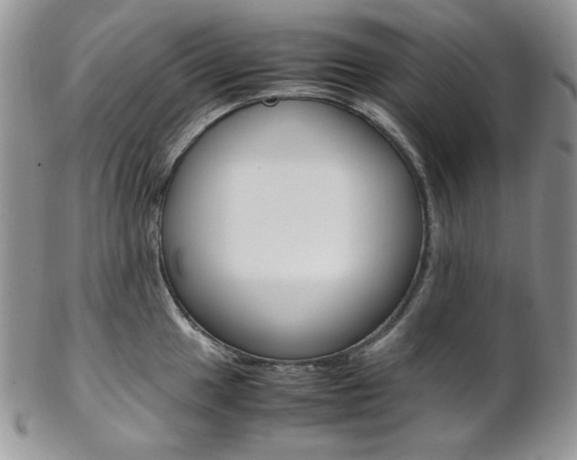 X0000102841049200808181020