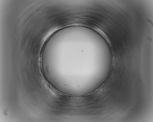 X0000102841051200808181021