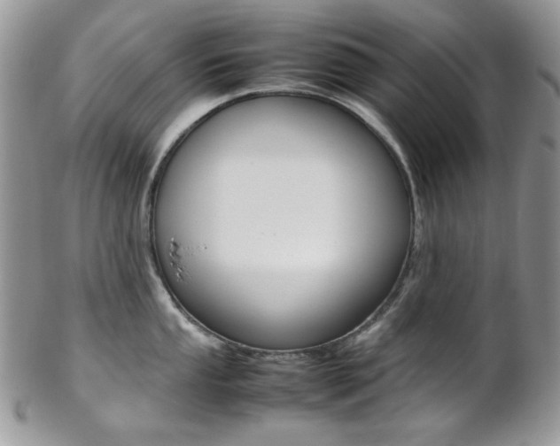 X0000102841053200808181021