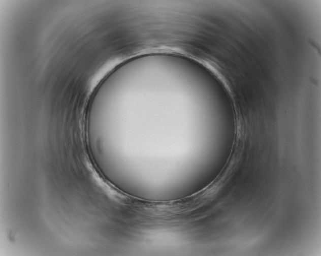 X0000102841054200808181021