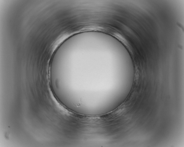 X0000102841055200808181021