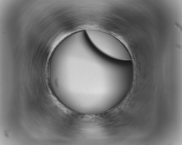X0000102841056200808181021