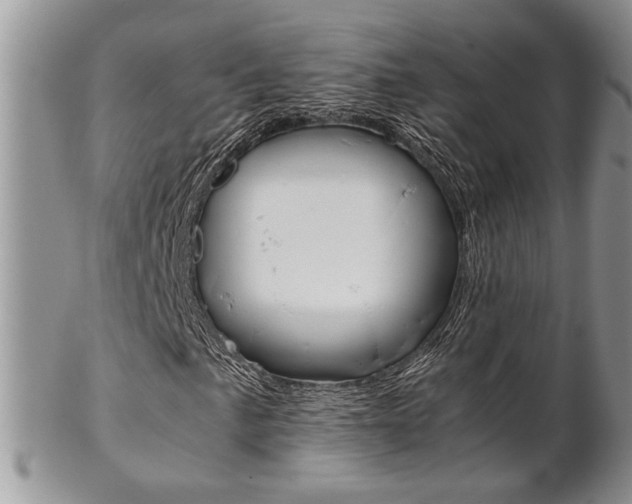 X0000102841057200808181020