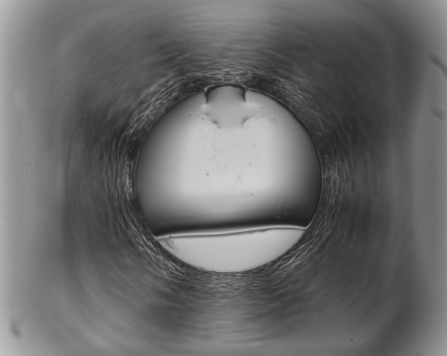 X0000102841058200808181020
