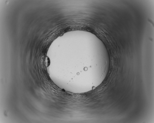 X0000102841059200808181020