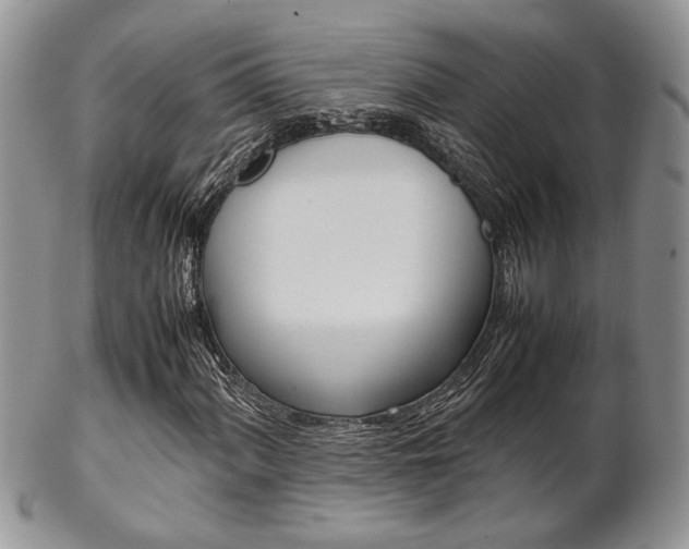 X0000102841060200808181020