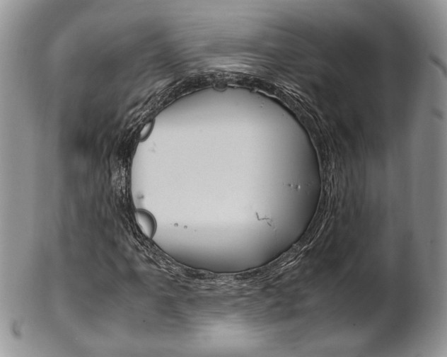 X0000102841061200808181020