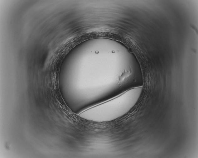 X0000102841062200808181020