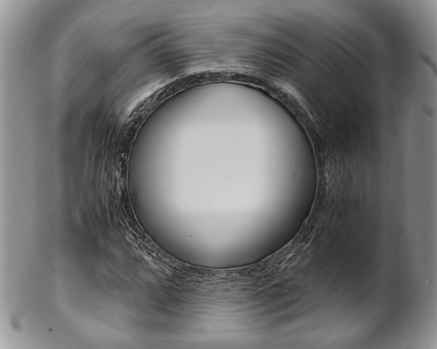 X0000102841064200808181020