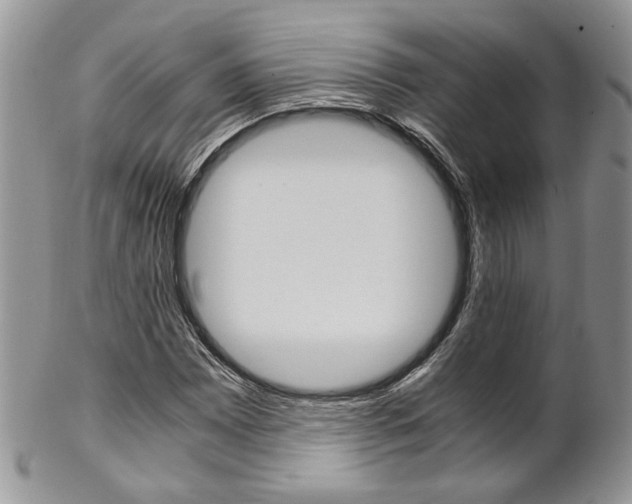 X0000102841065200808181020