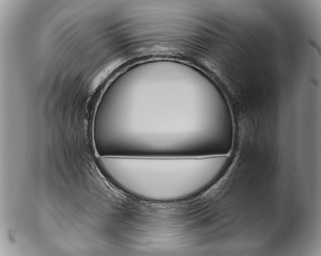 X0000102841066200808181020