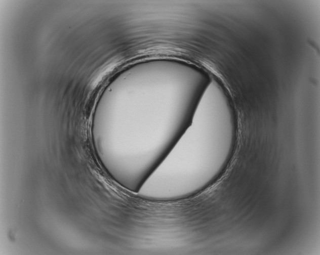 X0000102841067200808181020