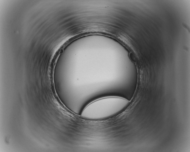 X0000102841068200808181020