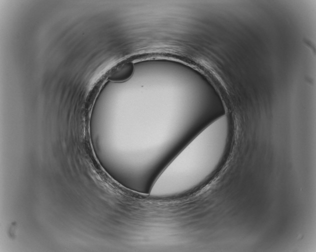 X0000102841069200808181020
