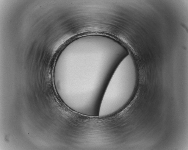X0000102841070200808181020