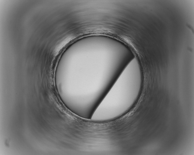 X0000102841071200808181020