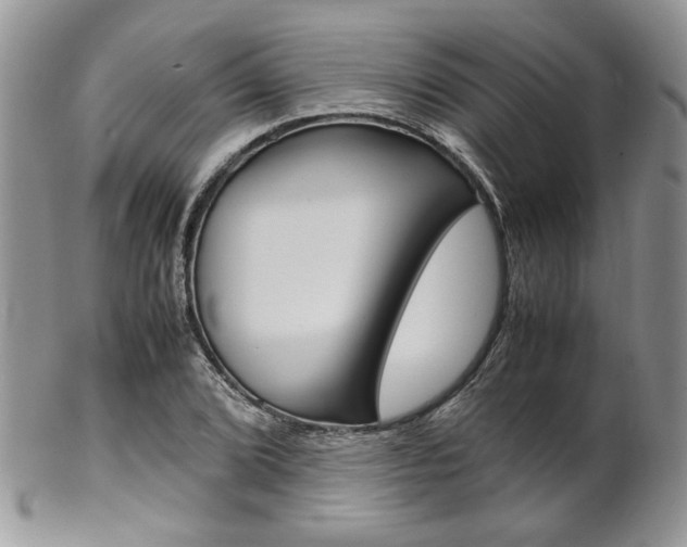 X0000102841072200808181020